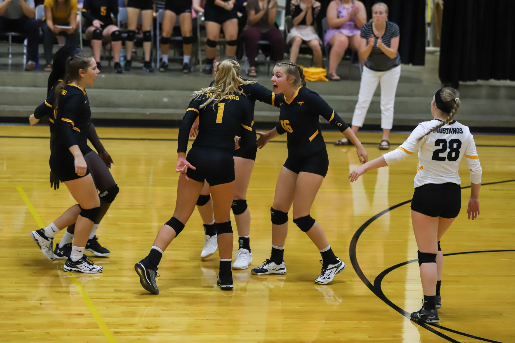 Volleyball (109).JPG